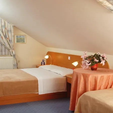 Bajc Hotel Vrhnika